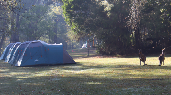 Featured Image of Victorian Jamboree Contingent Camp 2025: Preparing for Bush to Beach! post